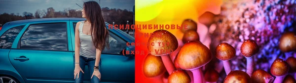 ПСИЛОЦИБИНОВЫЕ ГРИБЫ Балабаново