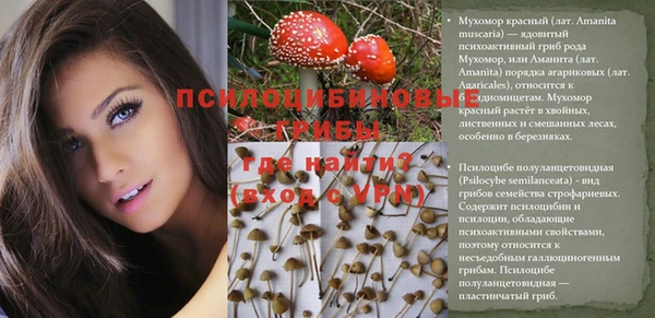 ПСИЛОЦИБИНОВЫЕ ГРИБЫ Балабаново