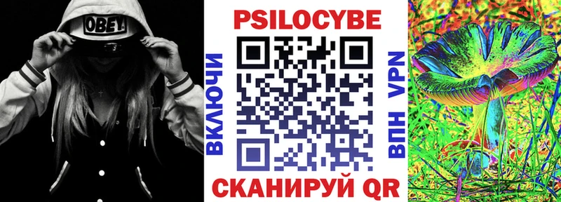 Псилоцибиновые грибы мухоморы  дарк нет наркотические препараты  Новотроицк  цена наркотик 